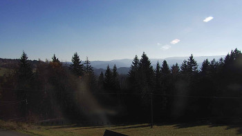 Snímek 7.11.2025 v 09:35