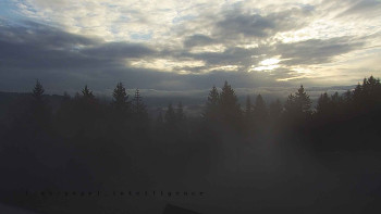 Snímek 9.11.2025 v 07:35