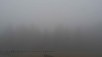 Snímek 15.11.2025 v 12:30