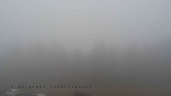 Snímek 16.11.2025 v 14:50