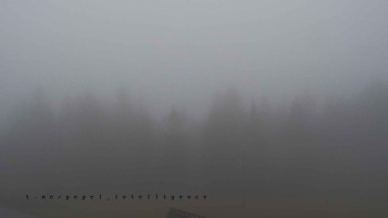 Snímek 17.11.2025 v 08:05