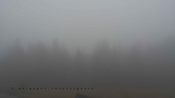 Snímek 17.11.2025 v 12:10