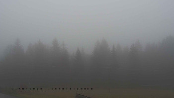 Snímek 17.11.2025 v 12:50