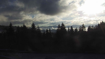 Snímek 18.11.2025 v 08:20