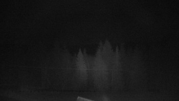 Snímek 19.11.2025 v 02:10