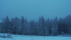 Panorama Javorníků