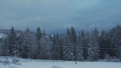 Panorama Javorníků