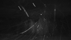 Horský hotel Čarták na Soláni - Panorama Javorníků - 31.12.2025 v 01:15 Horský hotel Čarták na Soláni - Panorama Javorníků - 31.12.2025 v 01:15