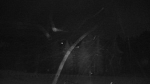 Horský hotel Čarták na Soláni - Panorama Javorníků - 31.12.2025 v 01:25 Horský hotel Čarták na Soláni - Panorama Javorníků - 31.12.2025 v 01:25