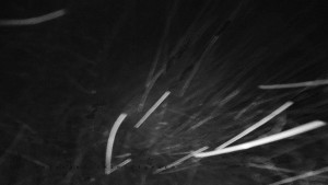 Horský hotel Čarták na Soláni - Panorama Javorníků - 31.12.2025 v 01:45 Horský hotel Čarták na Soláni - Panorama Javorníků - 31.12.2025 v 01:45