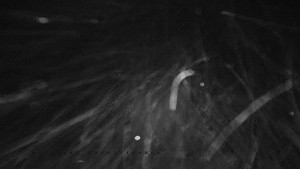 Horský hotel Čarták na Soláni - Panorama Javorníků - 31.12.2025 v 03:30 Horský hotel Čarták na Soláni - Panorama Javorníků - 31.12.2025 v 03:30