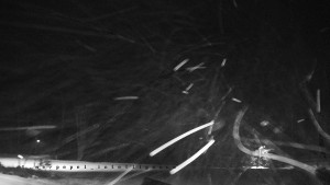 Horský hotel Čarták na Soláni - Panorama Javorníků - 31.12.2025 v 06:10 Horský hotel Čarták na Soláni - Panorama Javorníků - 31.12.2025 v 06:10