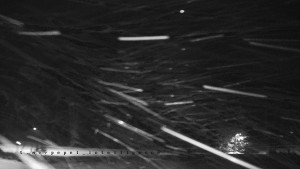 Horský hotel Čarták na Soláni - Panorama Javorníků - 31.12.2025 v 17:55 Horský hotel Čarták na Soláni - Panorama Javorníků - 31.12.2025 v 17:55