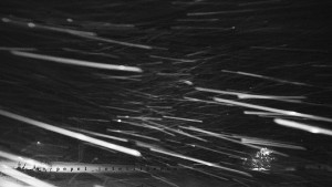 Horský hotel Čarták na Soláni - Panorama Javorníků - 31.12.2025 v 18:40 Horský hotel Čarták na Soláni - Panorama Javorníků - 31.12.2025 v 18:40