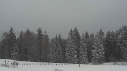 Panorama Javorníků