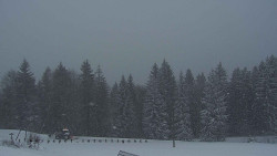 Panorama Javorníků