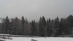 Panorama Javorníků