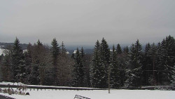 Panorama Javorníků