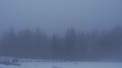 Panorama Javorníků