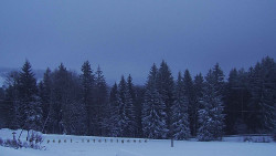 Panorama Javorníků