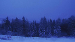 Panorama Javorníků