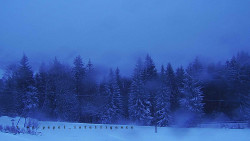 Panorama Javorníků