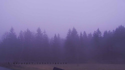 Panorama Javorníků