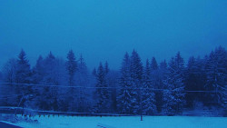 Panorama Javorníků