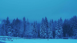 Panorama Javorníků