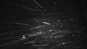 Horský hotel Čarták na Soláni - Panorama Javorníků - 28.3.2026 v 00:05 Horský hotel Čarták na Soláni - Panorama Javorníků - 28.3.2026 v 00:05