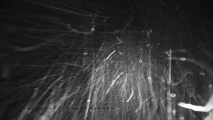 Horský hotel Čarták na Soláni - Panorama Javorníků - 28.3.2026 v 00:10 Horský hotel Čarták na Soláni - Panorama Javorníků - 28.3.2026 v 00:10