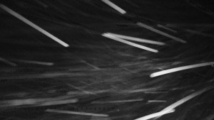 Horský hotel Čarták na Soláni - Panorama Javorníků - 28.3.2026 v 01:10 Horský hotel Čarták na Soláni - Panorama Javorníků - 28.3.2026 v 01:10