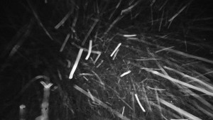 Horský hotel Čarták na Soláni - Panorama Javorníků - 28.3.2026 v 01:20 Horský hotel Čarták na Soláni - Panorama Javorníků - 28.3.2026 v 01:20