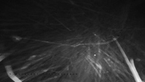 Horský hotel Čarták na Soláni - Panorama Javorníků - 28.3.2026 v 01:25 Horský hotel Čarták na Soláni - Panorama Javorníků - 28.3.2026 v 01:25