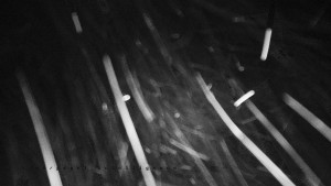 Horský hotel Čarták na Soláni - Panorama Javorníků - 28.3.2026 v 01:45 Horský hotel Čarták na Soláni - Panorama Javorníků - 28.3.2026 v 01:45