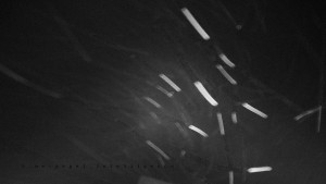 Horský hotel Čarták na Soláni - Panorama Javorníků - 28.3.2026 v 02:20 Horský hotel Čarták na Soláni - Panorama Javorníků - 28.3.2026 v 02:20