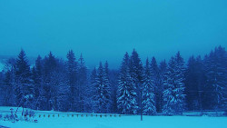 Panorama Javorníků