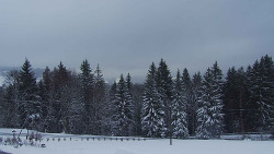 Panorama Javorníků