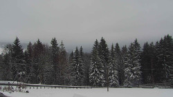 Panorama Javorníků