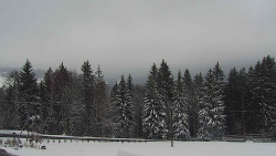 Panorama Javorníků