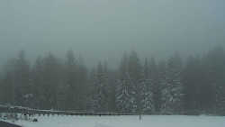 Panorama Javorníků