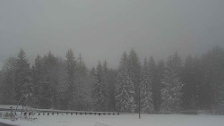 Panorama Javorníků