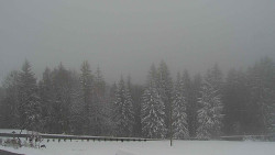 Panorama Javorníků