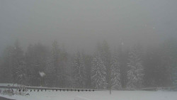 Panorama Javorníků