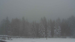 Panorama Javorníků