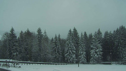 Panorama Javorníků