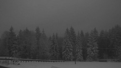 Panorama Javorníků