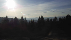 Panorama Javorníků