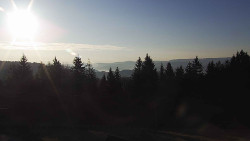 Panorama Javorníků