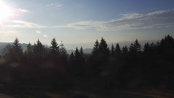 Panorama Javorníků